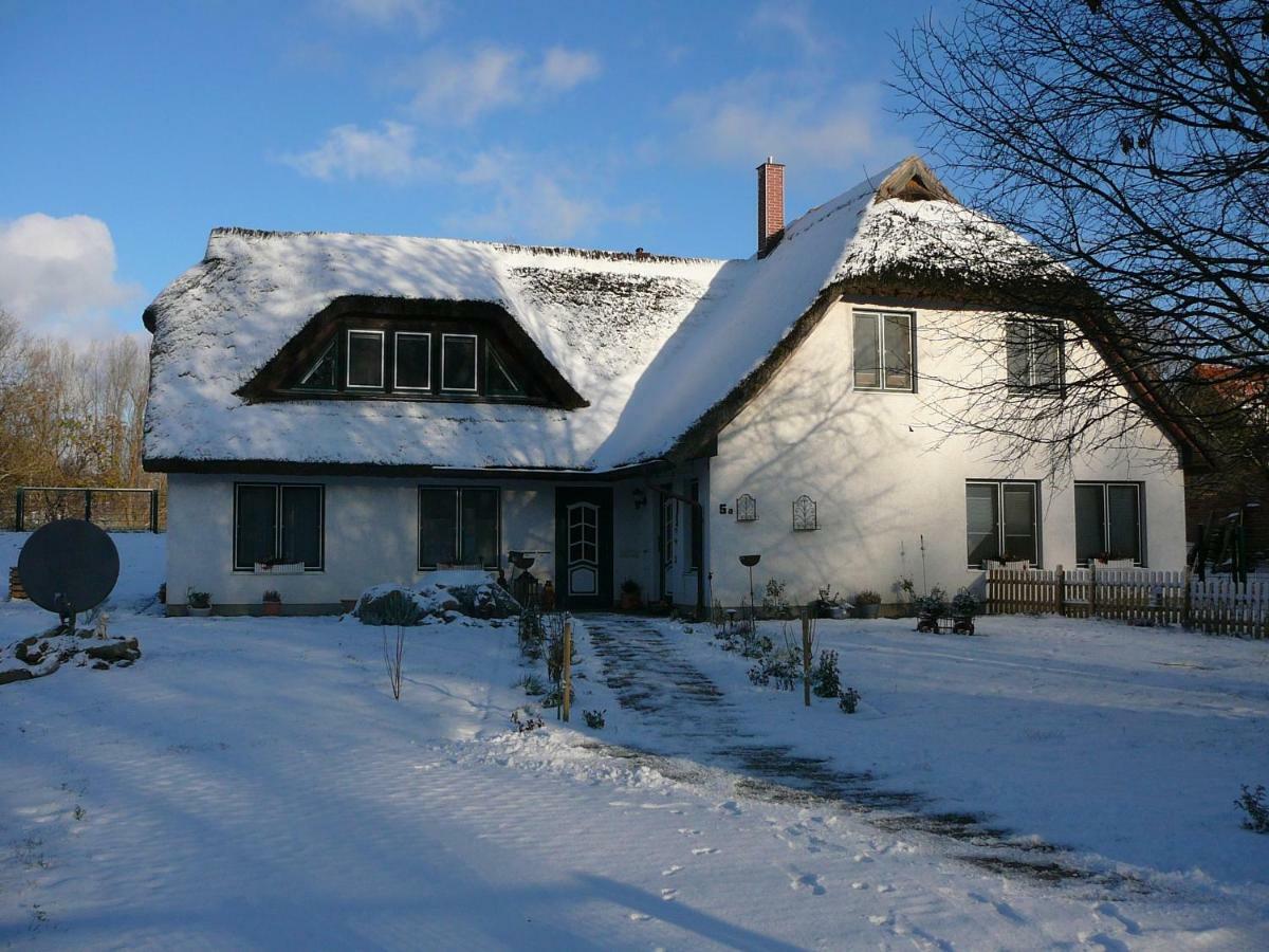 Haus Bernsteinchen Daire Gustow  Dış mekan fotoğraf